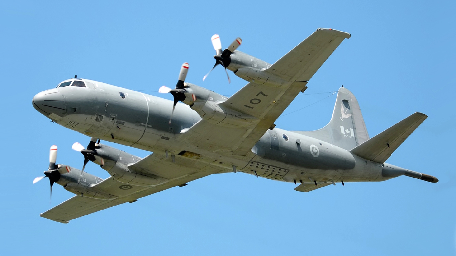 1096068182 0 56 1503 901 1920x0 80 0 0 85a2781fd98f478c93c1a050896c9ca5 InPixio