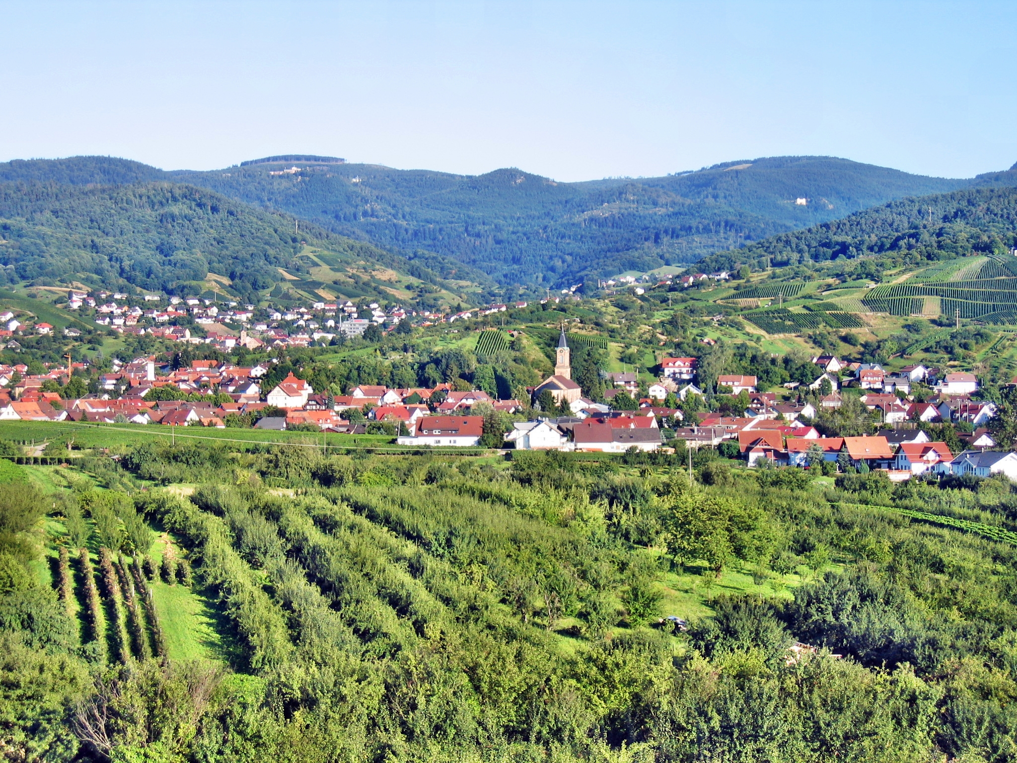 2006Bühl-Eisental, Baden-Württemberg, Germany