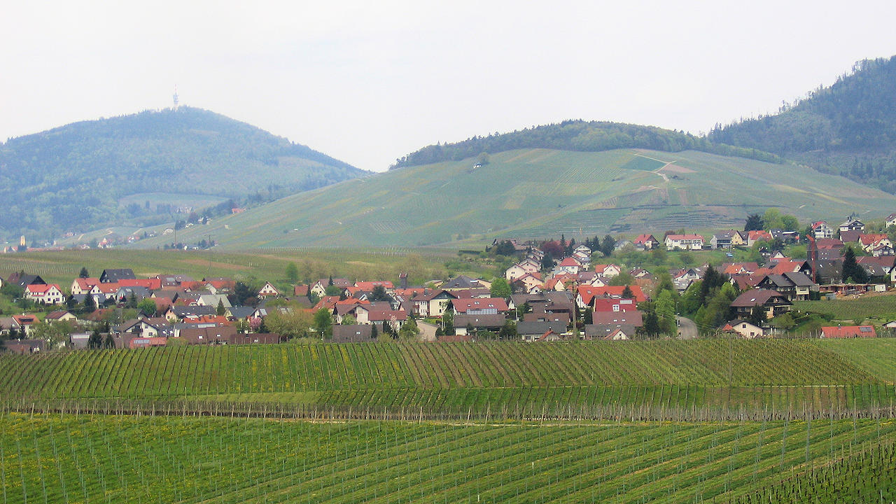 2006Bühl-Eisental, Baden-Württemberg, Germany