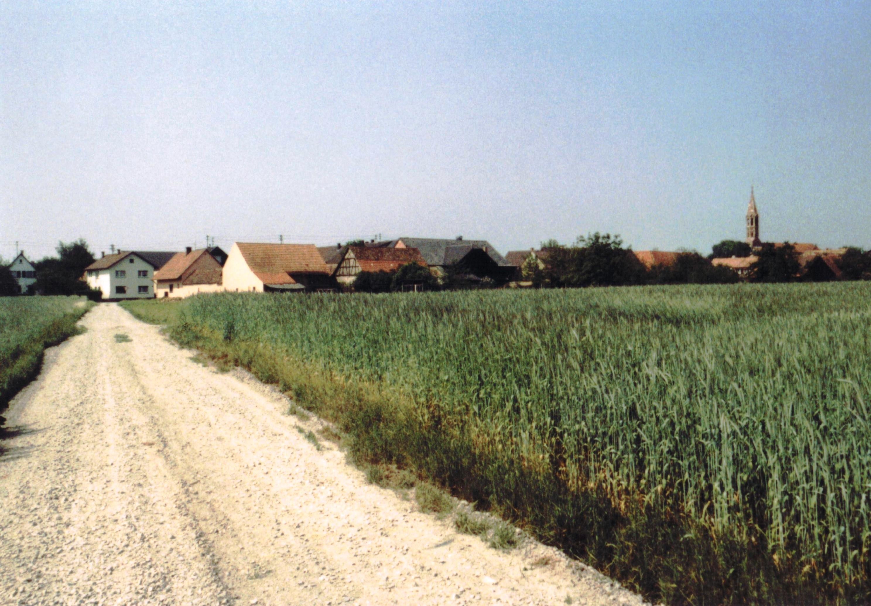 Hugie as seen from the fields (1988)... photo by Phantom of the flicks (Flickr)