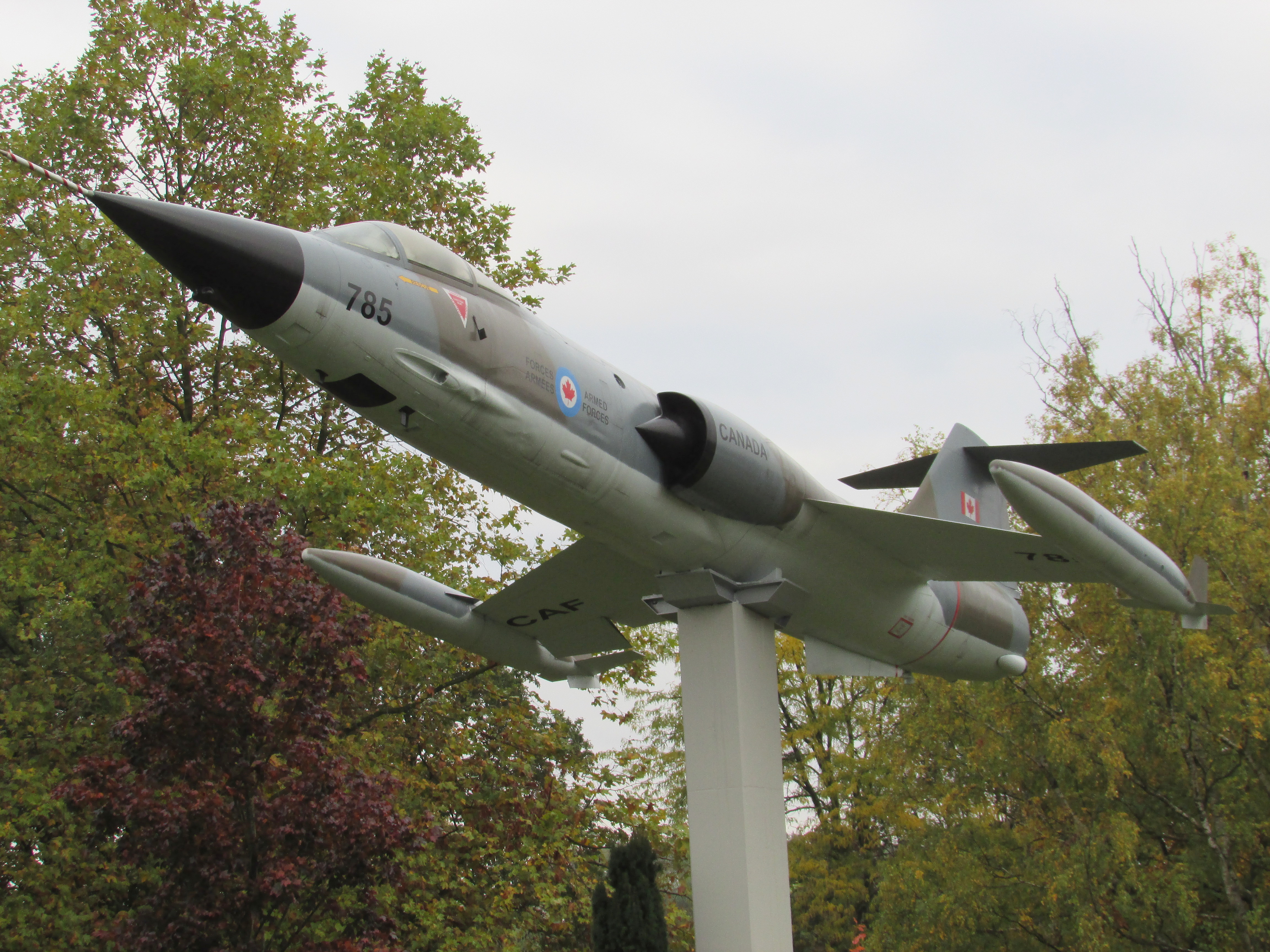 21ST October 2016 ... photo by Philip Cole 