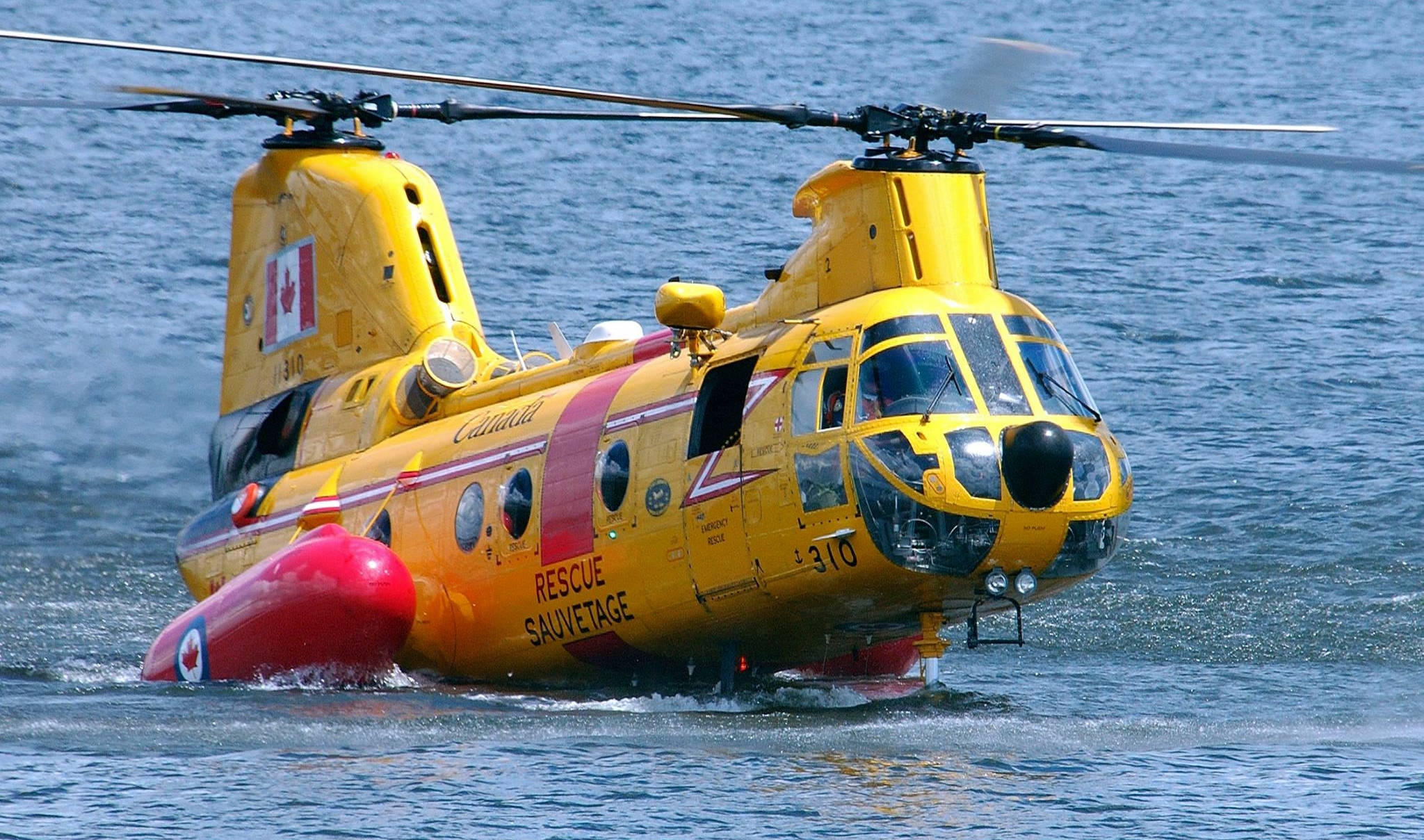 Ch 113~471494508 10160508839036237 1286905420762985102 n