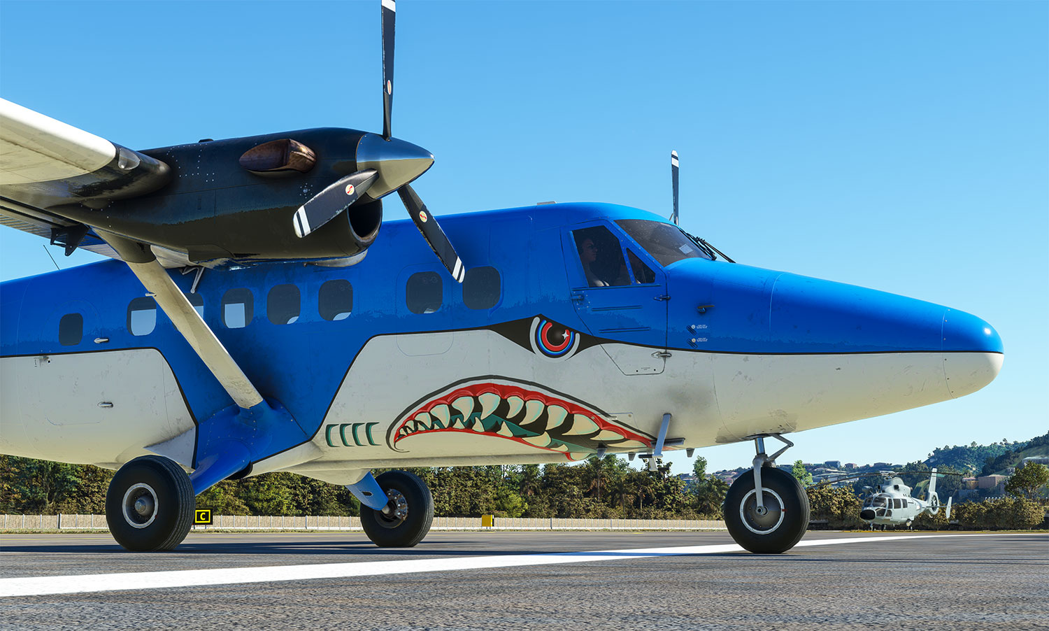 As aircraft twin otter 02